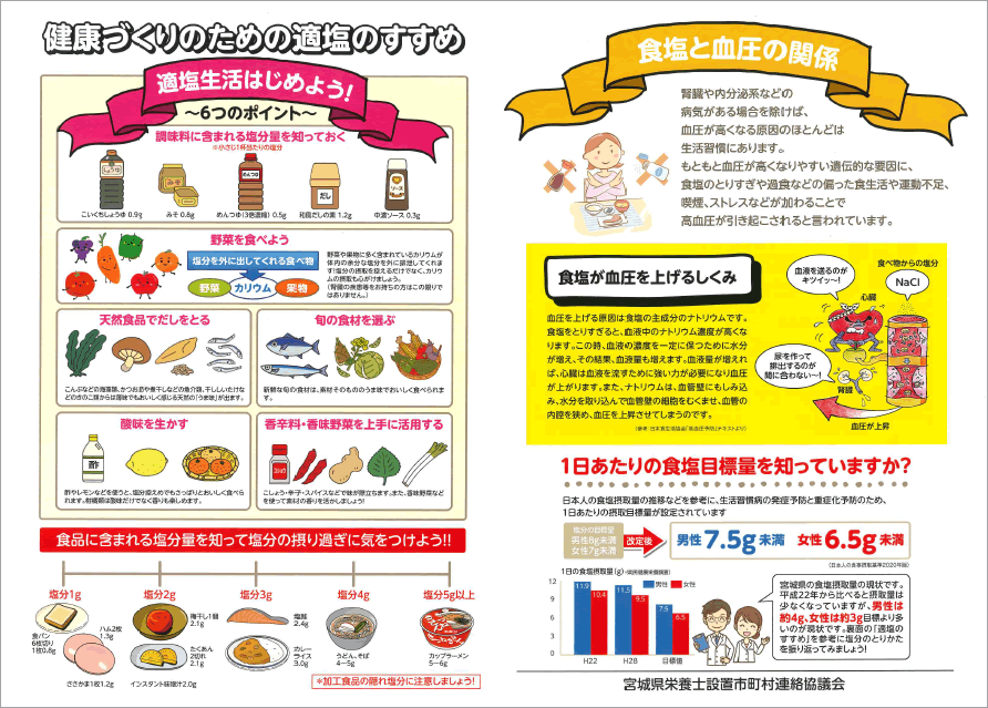 健康づくりのための適塩のすすめ（パンフレット）